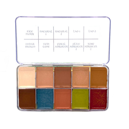 Skin Illustrator Fleshtone Palette